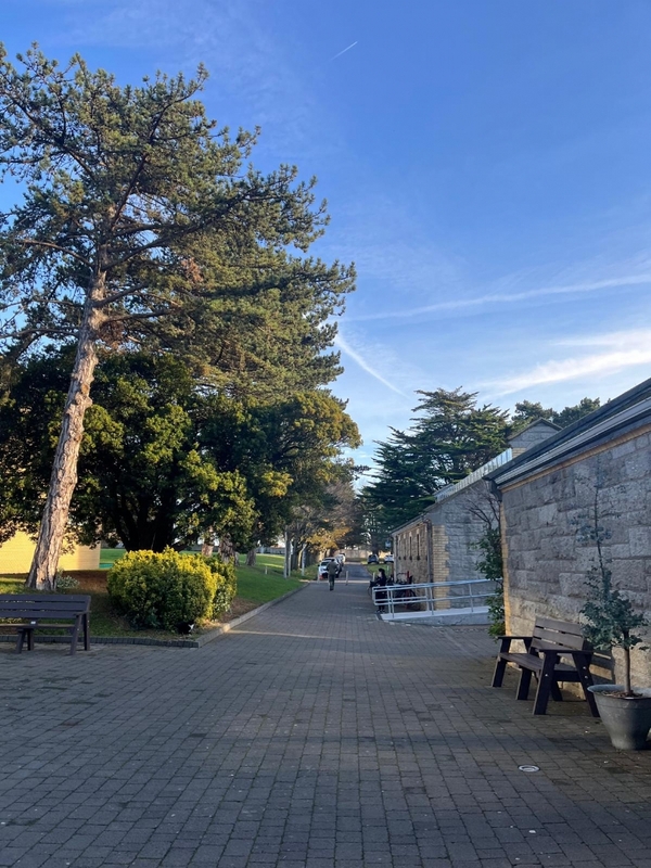 MARINO INSTITUTE OF EDUCATION  - DUBLINO -  MARINO ISTITUTE OF EDUCATION